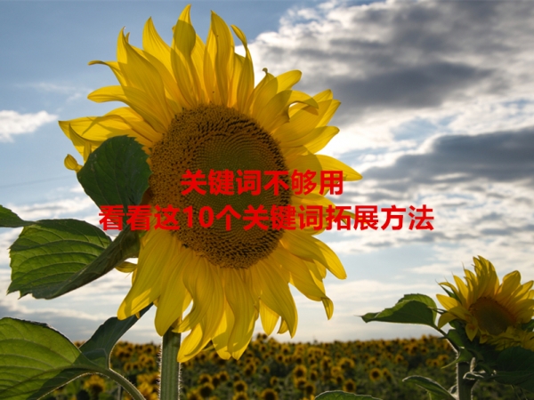 關(guān)鍵詞不夠用，看看這10個關(guān)鍵詞拓展方法！